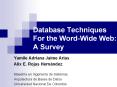 Database Techniques For the WordWide Web: A Survey