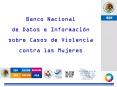 El Sistema de monitoreo de la violencia contra las mujeres en la Secretara de Seguridad Pblica
