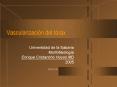 Vascularizacin del trax