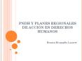 PNDH Y PLANES REGIONALES DE ACCIN EN DERECHOS HUMANOS