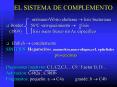 EL SISTEMA DE COMPLEMENTO