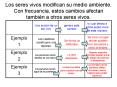 Los seres vivos modifican su medio ambiente' Con frecuencia, estos cambios afectan tambin a otros se