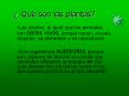 Qu son las plantas