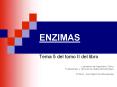 ENZIMAS