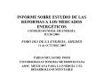 INFORME SOBRE ESTUDIO DE LAS REFORMAS A LOS MERCADOS ENERGTICOS CONSEJO MUNDIAL DE ENERGA JULIO 2004