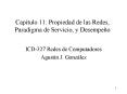 Captulo 11: Propiedad de las Redes, Paradigma de Servicio, y Desempeo