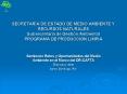 SECRETARA DE ESTADO DE MEDIO AMBIENTE Y RECURSOS NATURALES Subsecretara de Gestin Ambiental PROGRAMA