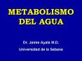 METABOLISMO DEL AGUA