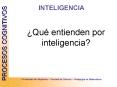 Qu entienden por inteligencia