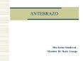 ANTEBRAZO