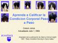 Aprenda a Calificar la Condicion Corporal Paso a Paso