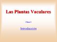 Las Plantas Vaculares