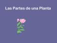 Las Partes de una Planta