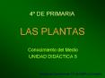 LAS PLANTAS