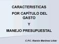 CARACTERISTICAS POR CAPTULO DEL GASTO