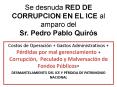 Se desnuda RED DE CORRUPCION EN EL ICE al amparo del Sr' Pedro Pablo Quirs