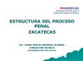 ESTRUCTURA DEL PROCESO PENAL