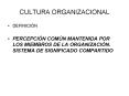 CULTURA ORGANIZACIONAL