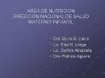 AREA DE NUTRICION DIRECCION NACIONAL DE SALUD MATERNO INFANTIL