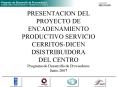 PRESENTACION DEL PROYECTO DE ENCADENAMIENTO PRODUCTIVO SERVICIO CERRITOSDICEN DSISTRIBUIDORA DEL CEN