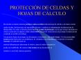 PROTECCIN DE CELDAS Y HOJAS DE CLCULO