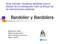 Mesa redonda: Iniciativas espaolas para la difusin de la investigacin sobre la eficacia de las inter