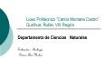 Liceo Politcnico Carlos Montan Castro Quirihue, uble, VIII Regin