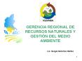 GERENCIA REGIONAL DE RECURSOS NATURALES Y GESTIN DEL MEDIO AMBIENTE