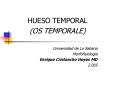 HUESO TEMPORAL