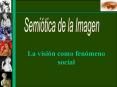 La visin como fenmeno social