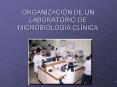 ORGANIZACIN DE UN LABORATORIO DE MICROBIOLOGA CLNICA