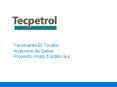 Yacimiento El Tordillo Inyeccin de Geles Proyecto Piloto Tordillo Sur