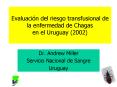 Evaluacin del riesgo transfusional de la enfermedad de Chagas en el Uruguay 2002