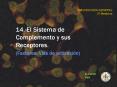14'El Sistema de Complemento y sus Receptores'