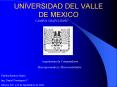 UNIVERSIDAD DEL VALLE DE MEXICO