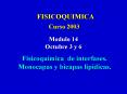 Presentacin de PowerPoint