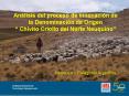 Anlisis del proceso de innovacin de la Denominacin de Origen Chivito Criollo del Norte Neuquino