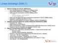 Lneas Estrategia 2008 1