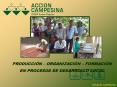 Diapositiva 1