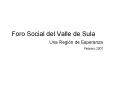 Foro Social del Valle de Sula Una Regin de Esperanza Febrero 2007
