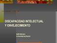DISCAPACIDAD INTELECTUAL