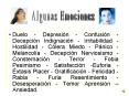 Duelo Depresin Confusin Decepcin Indignacin Irritabilidad Hostilidad Clera Miedo Pnico Melancola Dec