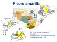Fiebre amarilla