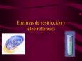 Enzimas de restriccin y electroforesis