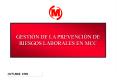 Manual de Gestin de Prevencin de Riesgos Laborales