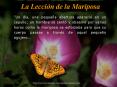 La Leccin de la Mariposa