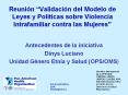 Reunin Validacin del Modelo de Leyes y Polticas sobre Violencia Intrafamiliar contra las Mujeres