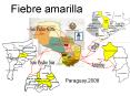 Fiebre amarilla