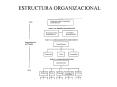 ESTRUCTURA ORGANIZACIONAL