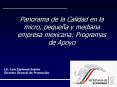 Panorama de la Calidad en la micro, pequea y mediana empresa mexicana: Programas de Apoyo